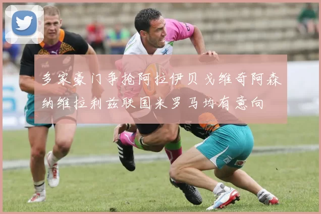 多家豪门争抢阿拉伊贝戈维奇阿森纳维拉利兹联国米罗马均有意向